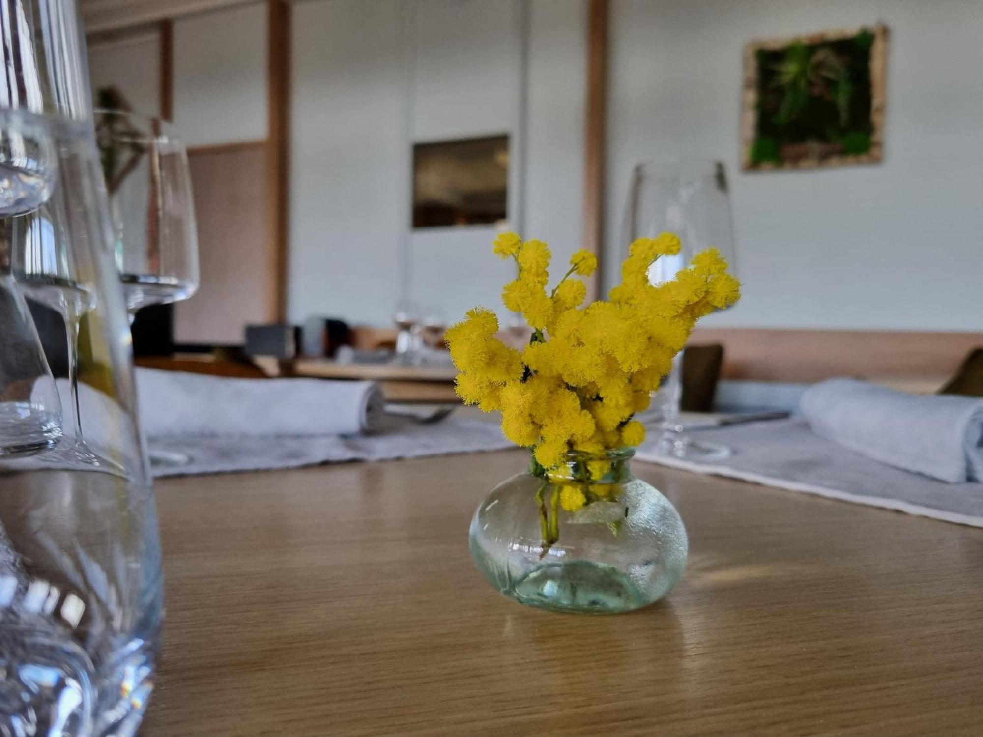 Logis Hotel Schaeffer- Restaurant Le Saint Georges Serrières-en-Chautagne Kültér fotó